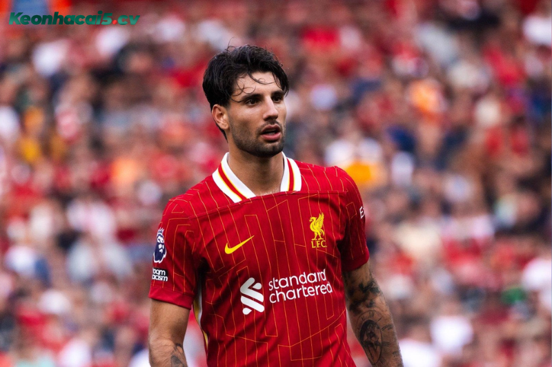 Đội hình dự kiến trước trận Liverpool vs Wolves Đội hình dự kiến trước trận Liverpool vs Wolves